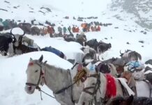Avalanche in Nepal kills 7 climbers on Mount Yalung Ri
