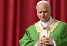 Pope Leo XIV calls out latest massacre in African nation as hospital attacked