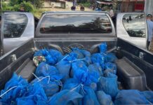 Men caught with 81 monkeys and meth in Thailand