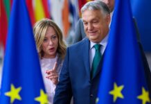 « En Europe, l’extrême droite a déjà un pied dans la cabine de pilotage »