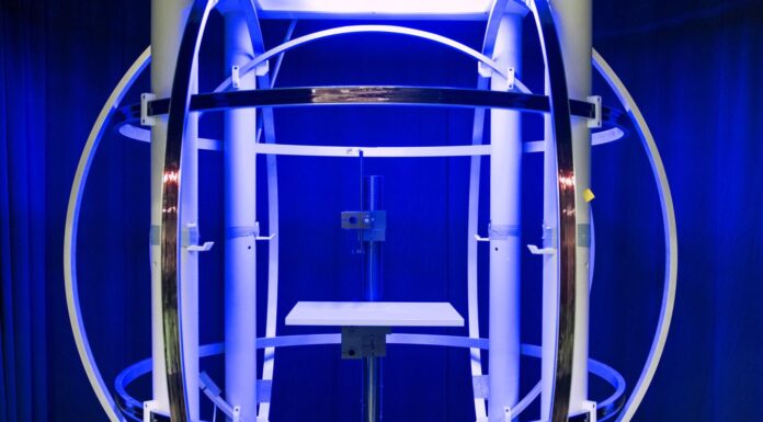 La boussole des pigeons serait cachée dans leur oreille interne