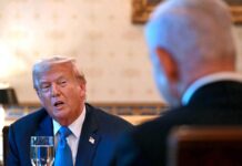 Donald Trump et la contagion de l’impunité