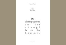 ergot du seigle, amadou, amanite tue-mouches, mérule…