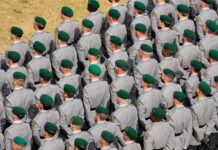 L’Allemagne instaure un service militaire volontaire