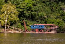 Des milliers de chercheurs d’or clandestins sont toujours actifs en Guyane, confortés par la hausse des cours et l’inaction du Suriname voisin