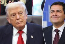 Honduras looking to arrest former president pardoned by Trump