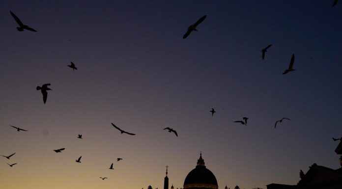 le concile Vatican II a-t-il précipité la déchristianisation en France ?
