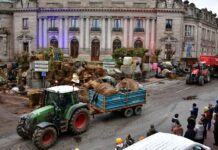 Dermatose et accord UE-Mercosur continuent à cristalliser, en les intensifiant, les mobilisations agricoles