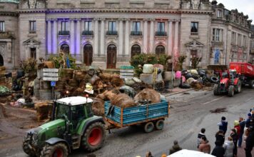 Dermatose et accord UE-Mercosur continuent à cristalliser, en les intensifiant, les mobilisations agricoles