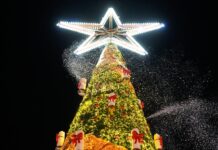 En Allemagne, un projet d’attentat sur un marché de Noël déjoué, cinq hommes arrêtés