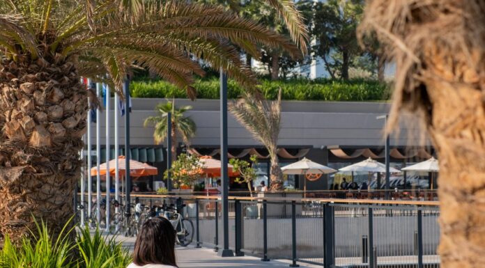 « Il peut y avoir un sentiment de soulagement existentiel à l’émigration pour les jeunes cadres d’origine maghrébine »