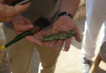 Des statuettes funéraires égyptiennes découvertes dans la cité antique de Tanis