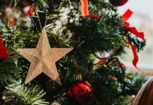 ‘Most popular’ date to take down your Christmas tree—do you stick to tradition?