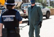 ‘Masterpiece’ BBC drama now ‘Netflix’s most watched’ as fans can’t stop watching | Films | Entertainment