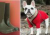 ‘Comfortable’ wellies ‘excellent for walking dogs’ – 38% off