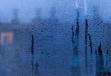 1 kitchen item creates condensation ‘barrier’ on windows