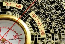 Chinese zodiac: 3 animal signs attract a ‘lucky time’