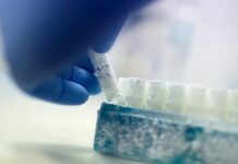 Are sperm banks in Denmark rejecting donors based on their IQ?