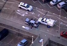 En Australie, les premières images après la fusillade à Bondi Beach