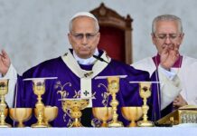 en français, Léon XIV appelle au « désarmement des coeurs » et à combattre « l’idolâtrie de l’argent »