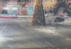 Kazakhstan driver crashes into Christmas tree caught on CCTV video