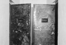 Un an après la chute de Bachar Al-Assad, les langues déliées de l’enfer concentrationnaire syrien : « Je n’ai jamais raconté mon histoire, mais maintenant, on peut parler, non ? »