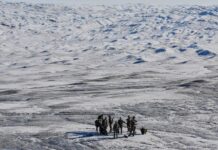 « Je ne peux pas compter sur le Danemark pour se défendre tout seul », déclare une nouvelle fois Donald Trump