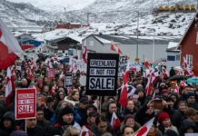 Donald Trump affirme que les dirigeants européens ne vont pas « résister beaucoup » à son projet de s’emparer du territoire autonome danois