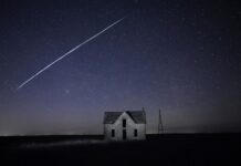 Elon Musk prépare la méga-introduction en Bourse de ses fusées SpaceX