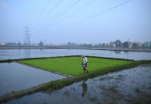 Le secteur agricole, point ultra-sensible pour l’Inde dans les négociations commerciales