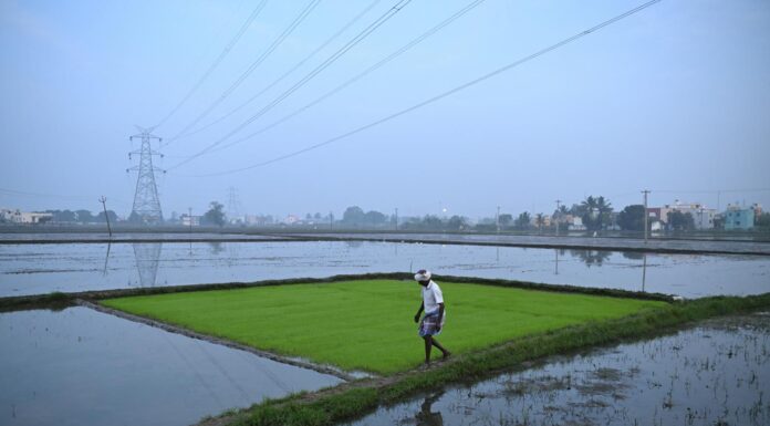 Le secteur agricole, point ultra-sensible pour l’Inde dans les négociations commerciales