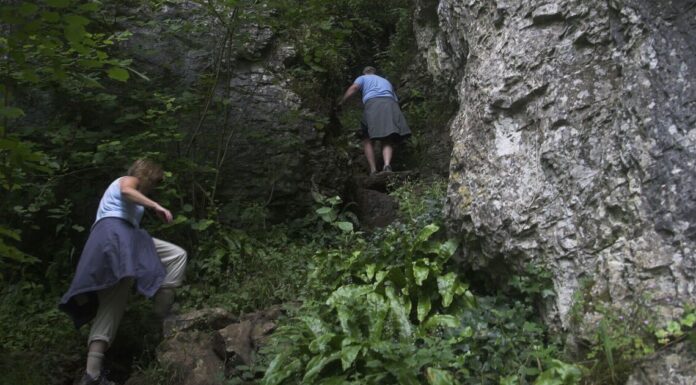 One of ‘most enchanting’ gorges in the UK is ideal for January walk | Nature | News