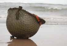 The greatest WW2 action movie ever made is on TV this weekend | Films | Entertainment