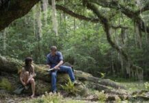 ‘Beautifully told’ adaptation of beloved best-selling book streaming now | Films | Entertainment