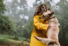 Dog behaviourist shares easy method to stop pets jumping up