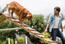 Dog trainer lists breed that don’t ‘make good pets’ — shouldn’t be around kids