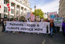 la « sécurité » et la « prospérité » du pays menacées par la perte globale de biodiversité, alerte un rapport gouvernemental