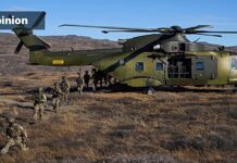 EU troops might be needed to stop a US showdown in Greenland