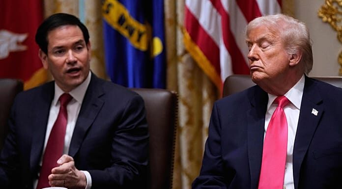 ‘Profoundly damaging’: EU leaders condemn Trump’s withdrawal from UN climate treaty