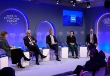 ‘Electrifying everything’ is key to Europe’s future, IEA chief tells Euronews at Davos