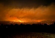 En Australie, l’état de catastrophe déclaré face aux incendies qui ravagent l’Etat de Victoria