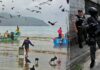 Five human heads found hanging on Ecuador beach amid ongoing gang violence