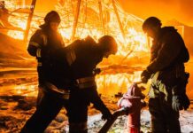 Putin agrees to Trump request to pause Kyiv strikes until Feb 1