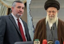 Ted Cruz calls for US to arm Iranian protesters against regime