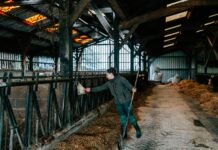 l’écart s’est réduit en 2024 pour atteindre 21,8 %