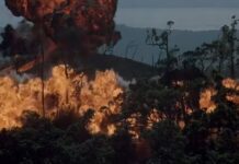 ‘Forgotten’ Vietnam war film that’s ‘more realistic’ than Platoon | Films | Entertainment