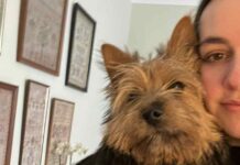 I own UK dog breed nobody has heard of — they are perfect family pets