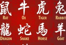 Chinese horoscope: The 4 luckiest animals in February according to astrology