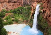 Woman who lives in the Grand Canyon shares 1 big drawback | Weird | News