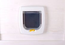 Woman baffled by mysterious animal footprints from cat flap